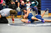 Wiss at Springfield Twp Wrestling (20 of 109)